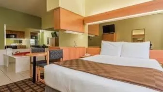 Microtel Inn & Suites by Wyndham Dallas/Fort Worth | Teksas - Fort Worth (ve civarı) - Fort Worth