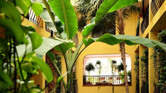 Hacienda Mariposa Boutique | Quintana Roo - Solidaridad - Playa del Carmen