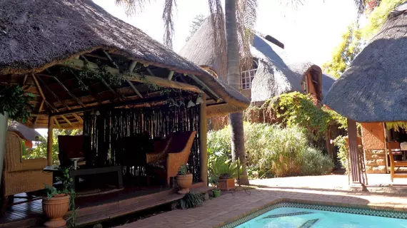 Treetops & Treats Guest House | Gauteng - City of Tshwane - Johannesburg (ve civarı) - Pretoria - Muckleneuk