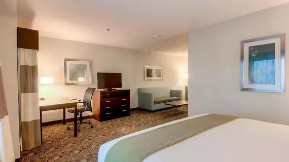 Holiday Inn Express Hotel & Suites Carlsbad Beach | Kaliforniya - San Diego County - San Diego Sahili