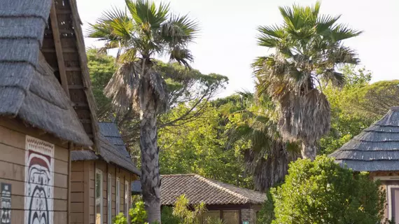 Prairies de la Mer | Provence - Alpes - Cote d'Azur - Var - Sainte-Maxime - Saint-Tropez (ve civarı) - Grimaud