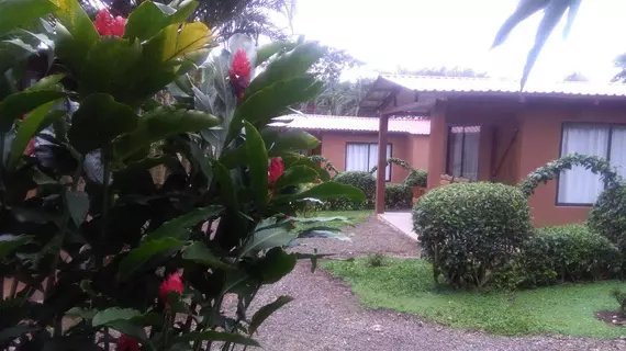 Paraiso Camping Lodge | Alajuela (ili) - Guayabo