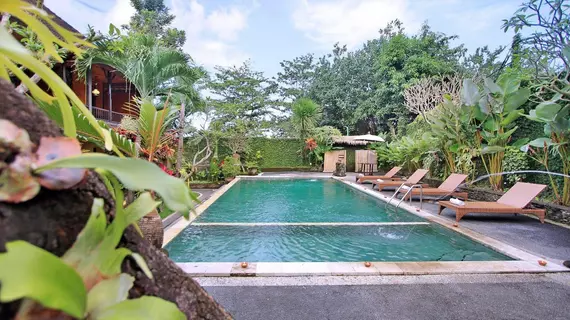 Ubud View Bungalows | Bali - Ubud - Ubud Kent Merkezi