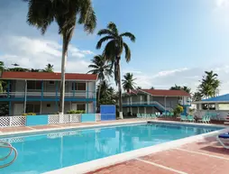 On Vacation Sea Horse | San Andres y Providencia - San Andres