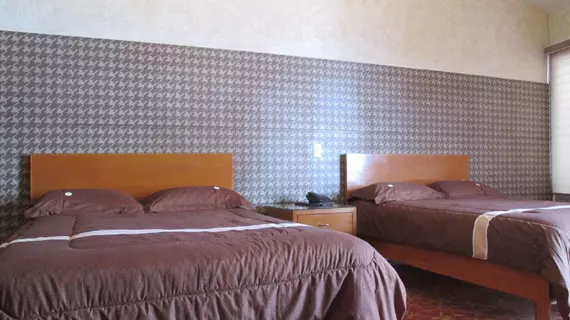 Hotel Arana Hosteria | Jalisco - Guadalajara (ve civarı) - Tonala