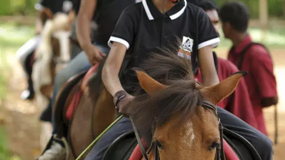 Embassy International Riding School | Karnataka - Bengaluru (ve civarı) - Bengaluru