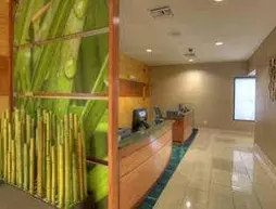 SpringHill Suites by Marriott - Tampa Brandon | Florida - Tampa (ve civarı) - Tampa