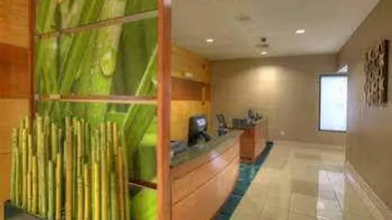 SpringHill Suites by Marriott - Tampa Brandon | Florida - Tampa (ve civarı) - Tampa