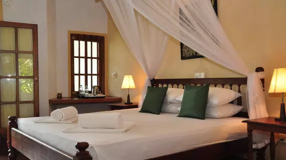 Villa Birdlake | Southern Province - Galle Bölgesi - Hikkaduwa