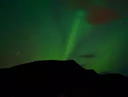 Arctic Nature | Güney İzlanda - Selfoss - Arborg