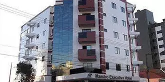 Hotel Maestro Executive