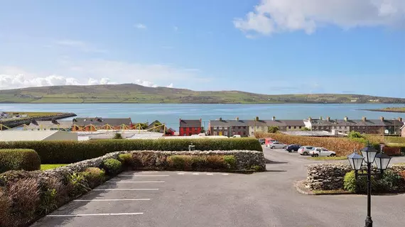 Dingle Harbour Nights B&B | Kerry (kontluk) - Dingle