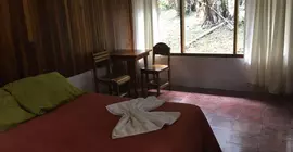 Hotel El Bosque | Puntarenas (ili) - Monteverde