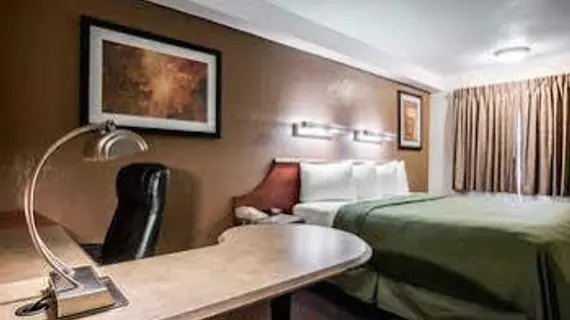 Quality Inn Anaheim | Kaliforniya - Orange County - Anaheim