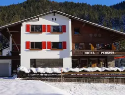 Hotel Pension Schweizerhof | Tirol - Innsbruck (ve civarı) - Leutasch - Weidach