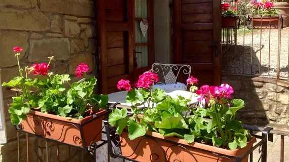 Borgo Dolci Colline | Toskana - Arezzo (vilayet) - Castiglion Fiorentino