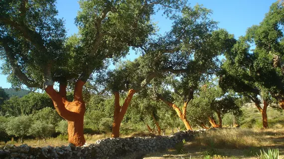 Herdade da Fonte | Alentejo - Portalegre Bölgesi - Castelo de Vide