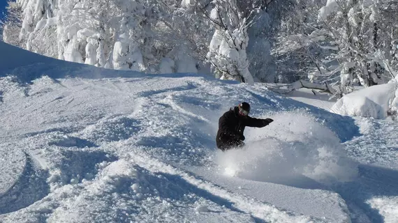 Soaring Eagle Lodge | Batı Virginia - Snowshoe