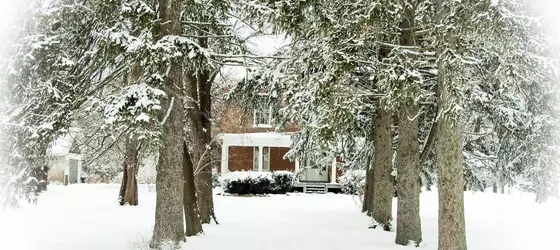 Culverdene House | Ontario - Niagara Regional Belediyesi - Hamilton (ve civarı) - Simcoe