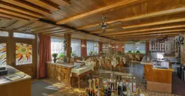 Hotel Restaurant Sonnhof | Tirol - Kitzbühel District - Kufstein (ve civarı) - Radfeld