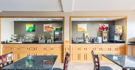 Cardinal Inn & Suites | Indiana - Muncie (ve civarı) - Muncie