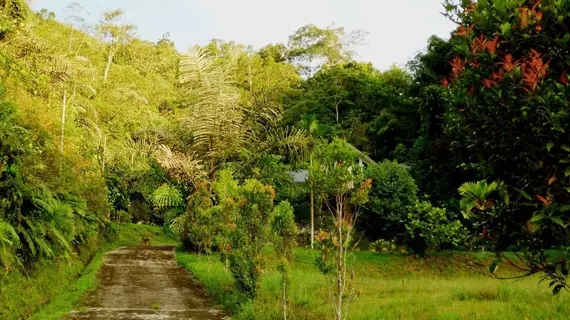 Manis Manis Rooftop of Borneo Resort | Sabah - Keningau