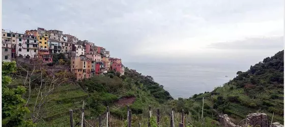 Hanging Garden | Liguria - La Spezia (il) - Vernazza