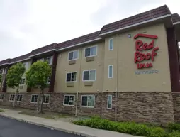 Red Roof Inn Hayward | Kaliforniya - Oakland (ve civarı) - Hayward