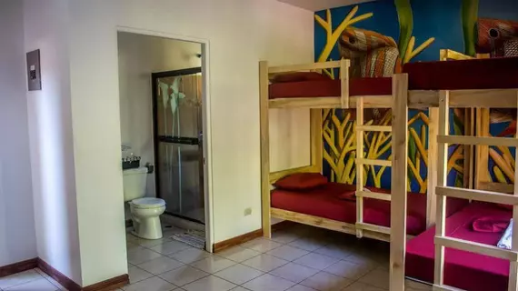 Hostel Dos Monos | Puntarenas (ili) - Cobano - Santa Teresa