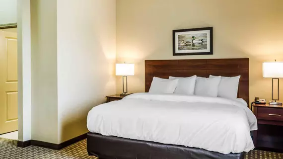 MainStay Suites Hackberry Sportsmans Lodge | Louisiana - Lake Charles (ve civarı) - Hackberry