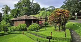 Lomas del Volcán | Alajuela (ili) - San Carlos (kantonu) - La Fortuna