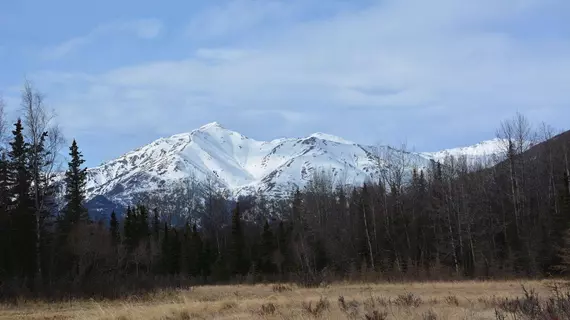 Moose Wallow Cabins | Alaska - Anchorage (ve civarı) - Palmer