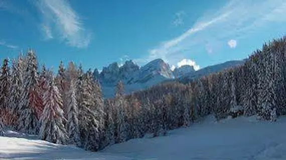 Laurino | Trentino-Alto Adige - Trento İli - Moena