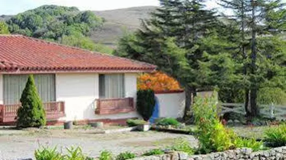 Point Reyes Vineyard Inn | Kaliforniya - Marin County - Point Reyes İstasyonu