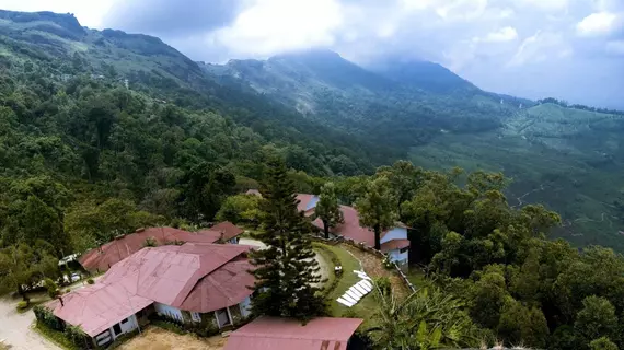 Windermere Estate | Kerala - Idukki Bölgesi - Devikolam