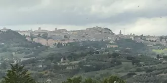 La Collina dei Ciliegi