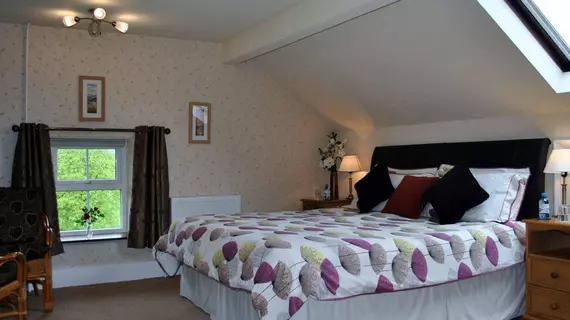 High Fold Guest House | Cumbria (kontluk) - Windermere