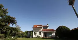 Private Villa | Jeju Adası - Seogwipo - Seogwipo Şehri