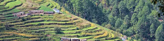 Whispering Pines Himalayan Retreat | Uttarkand - Tehri Garhwal (bölge) - Tehri