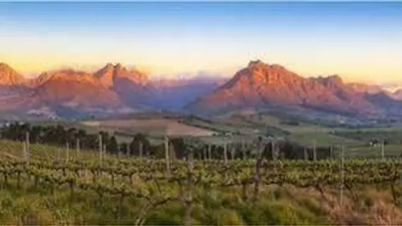 Sunrise and Sunset Apartments at Domaine Coutelier | Western Cape (il) - West Coast DC - Drakenstein - Cape Town (ve civarı) - Stellenbosch