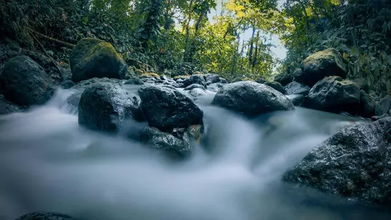 Las Orquideas | Alajuela (ili) - San Carlos (kantonu) - La Fortuna