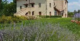 Agriturismo Canalicchio | Umbria - Perugia (vilayet) - Perugia