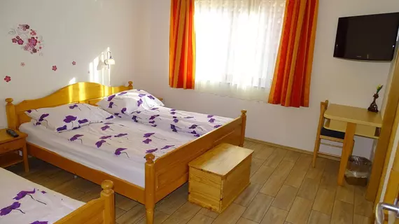 Guesthouse Mesec Zaplana | Logatec - Vrhnika