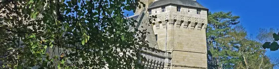 Demeure Château de Ternay | Nouvelle-Aquitaine - Vienne (bölge) - Ternay