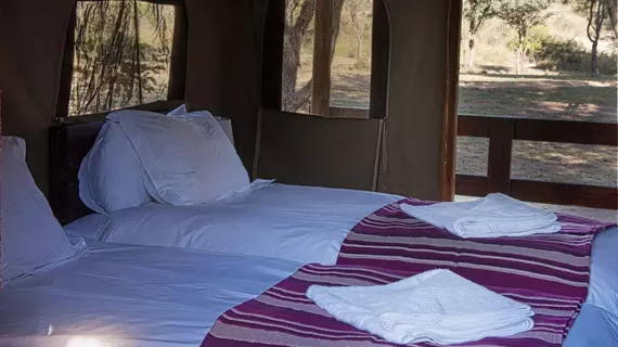 Shindzela Tented Safari Camp | Limpopo - Maruleng - Hoedspruit