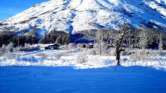 Galleri Laugarvatn | Güney İzlanda - Laugarvatn