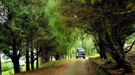 Green Jungle Holyday Resort | Kerala - Idukki Bölgesi - Udumbanchola