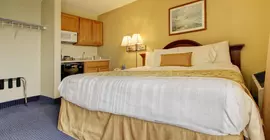 Crystal Beach Hotel | Maryland - Ocean City (ve civarı) - Ocean City