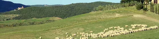 Agriturismo Bagnacci | Toskana - Siena (vilayet) - Montalcino