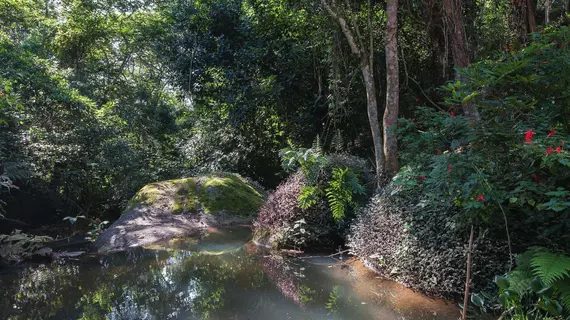 Ytororô O som das águas | Rio de Janeiro (eyaleti) - Paraty